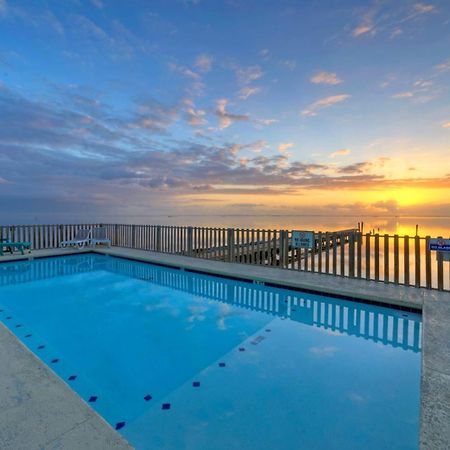 The Pintail By Avantstay Modern Chic Near Ocean Корпъс Кристи Екстериор снимка